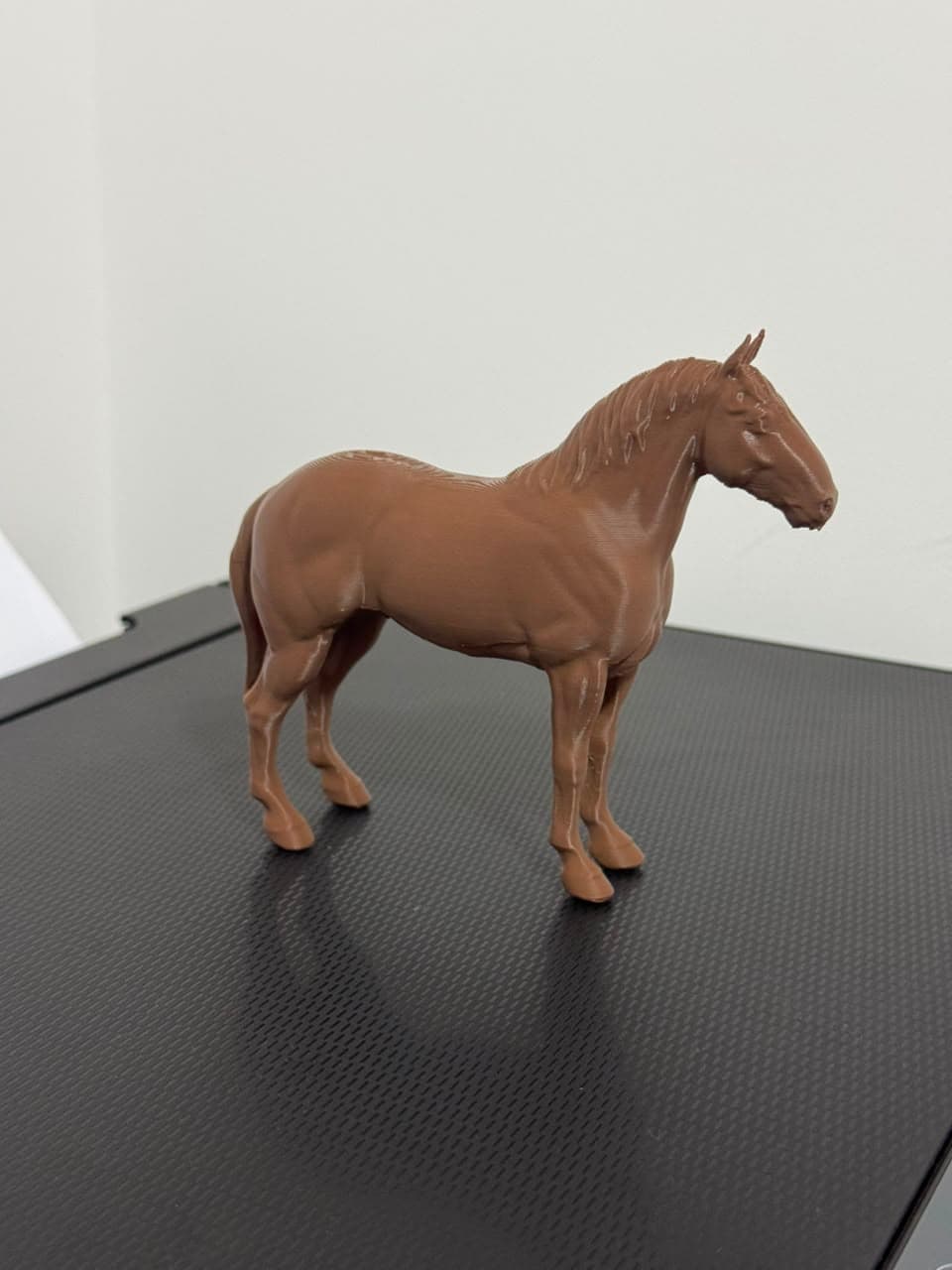 Cavalo Marrom